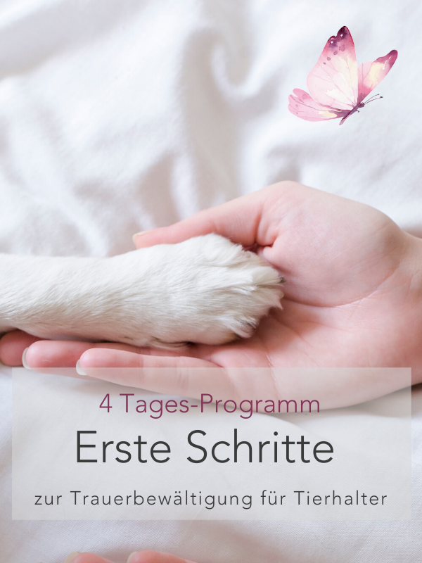 Programm
