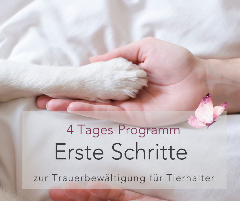 Programm_FB_größe