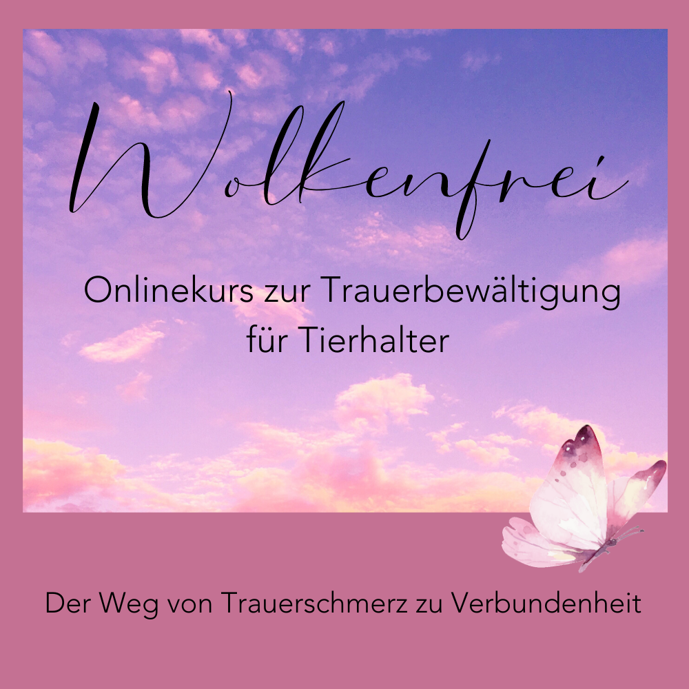 Cover Coachy_Dunkel