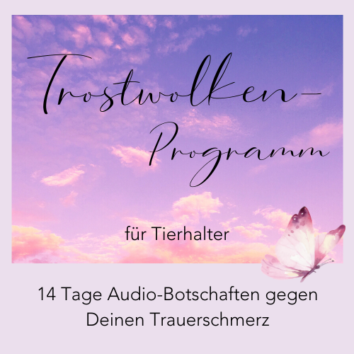 Trostwolke Cover SOS-Wolke