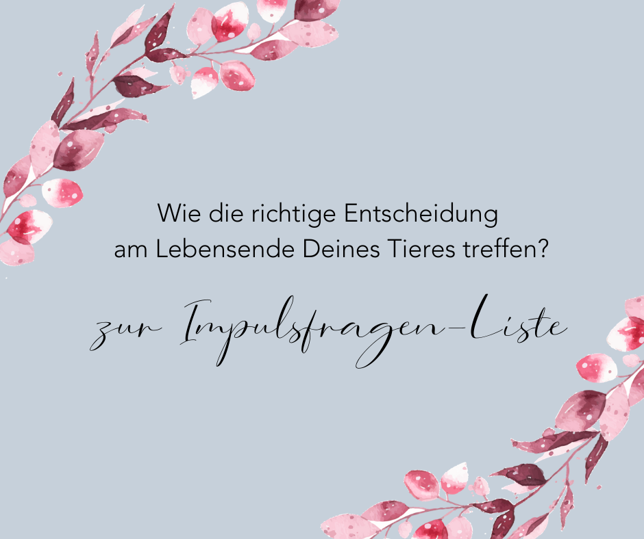 Grafik_Entscheidung