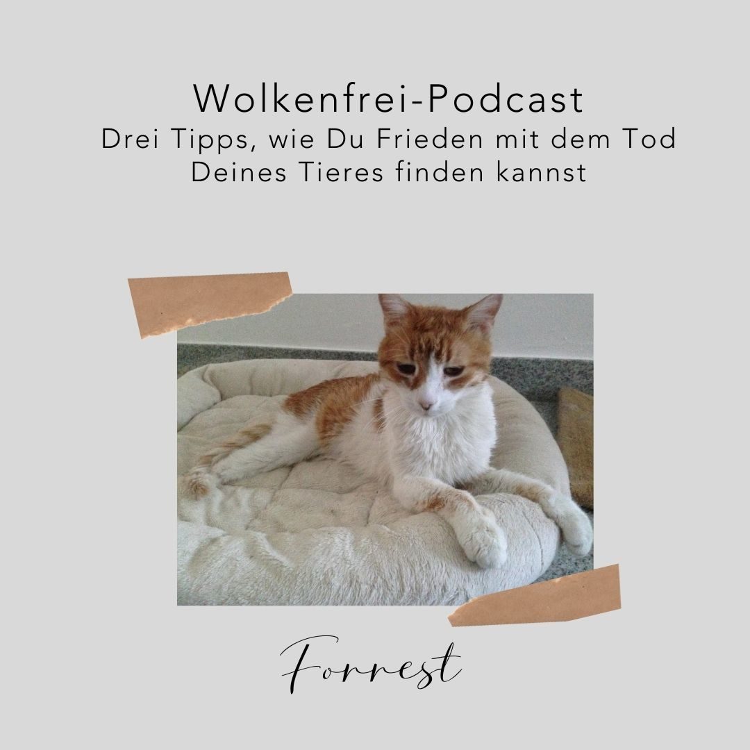 Podcast für Tierhalter Tierliebe und Trauer