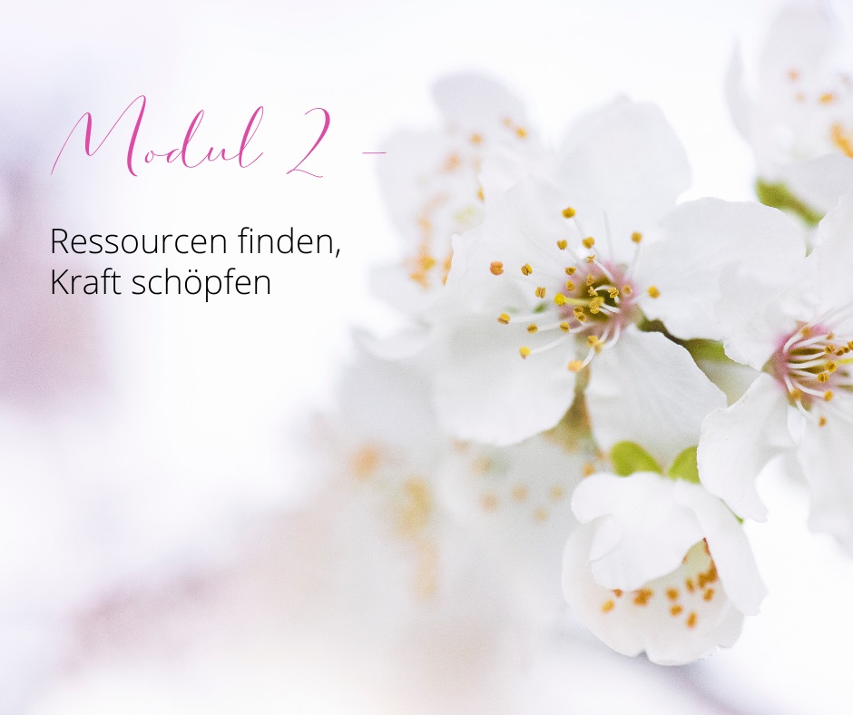 modul_2